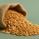 Über Gerstenwasser gegen die Hormone, die den Appetit anregen